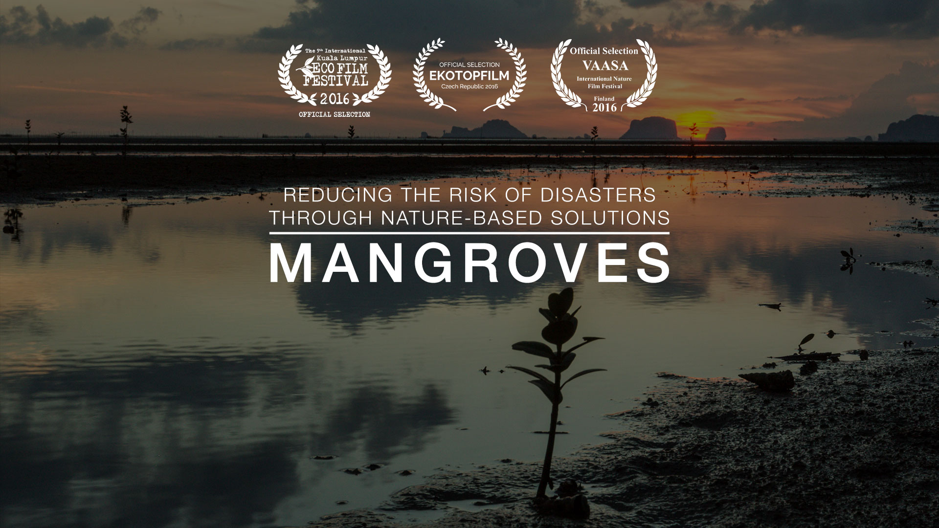 Mangroves: Reducing The Risk Of Disasters Through Nature-Based Solutions