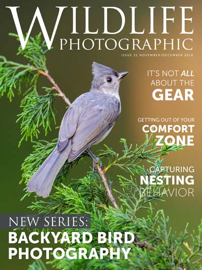 Wildlife Photographic Magazine: Issue 21, November/December 2016