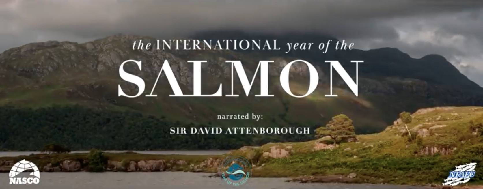 International Year of the Salmon video, narrated by Sir David Attenborough.