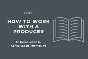 How to Work with a Wildlife Conservation Film Producer